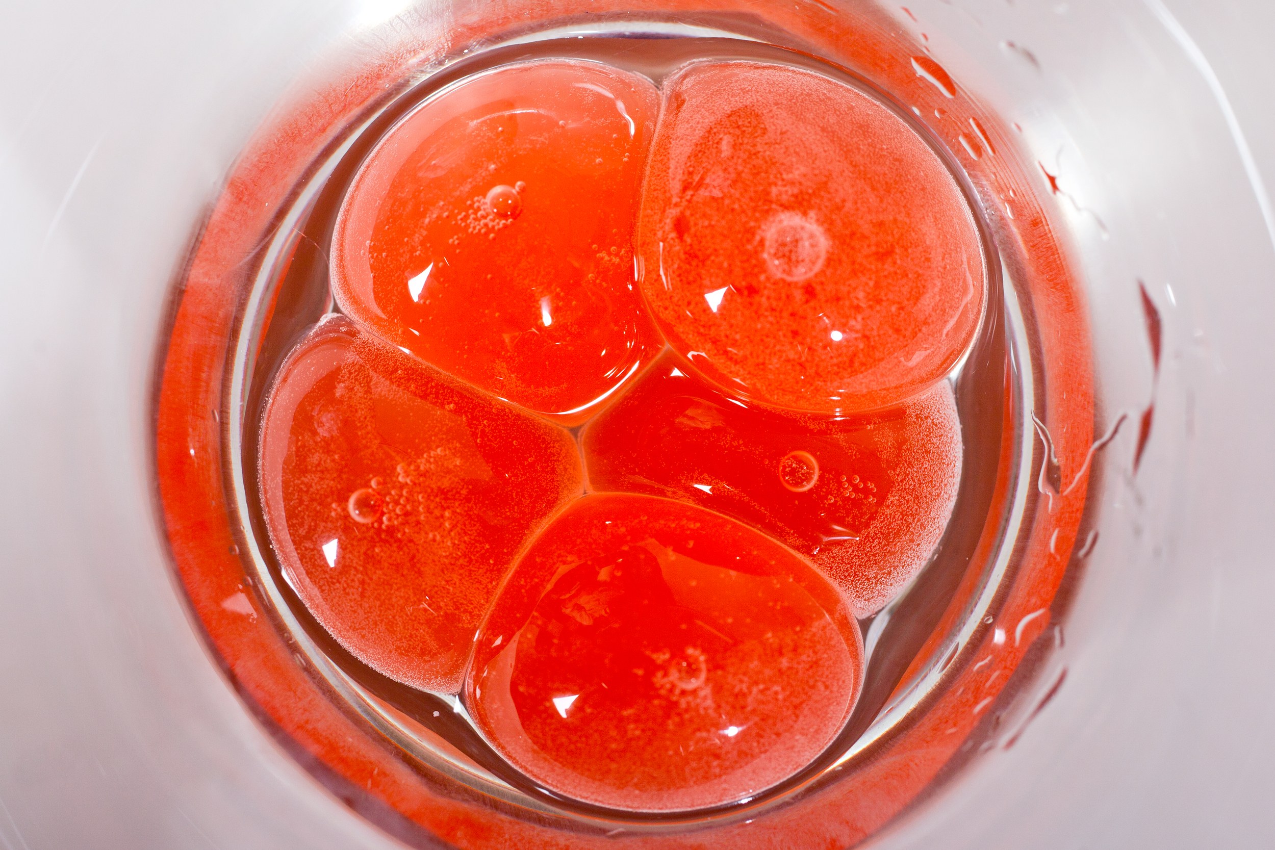 20131122-SPHERIFICATION-076edit
