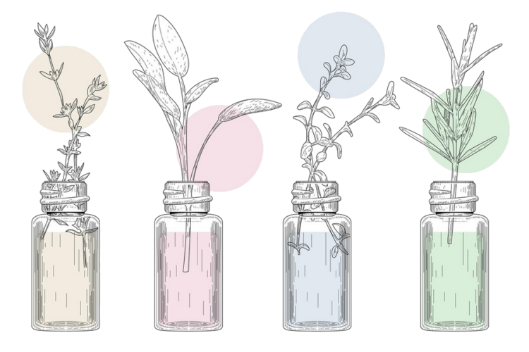 essential-oil2